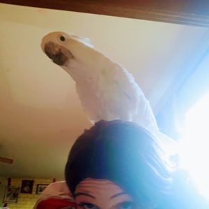 Meet your Posher, Danielle